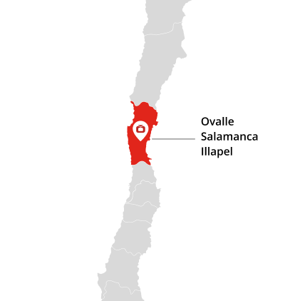 Mapa Asociados