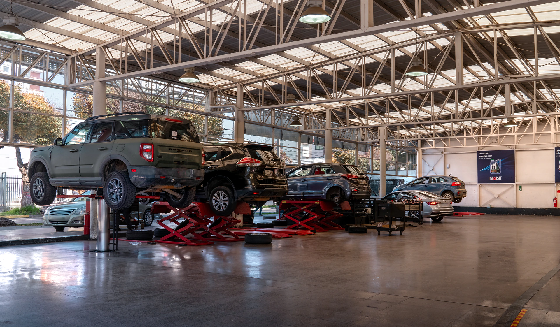 vina - Local Principal